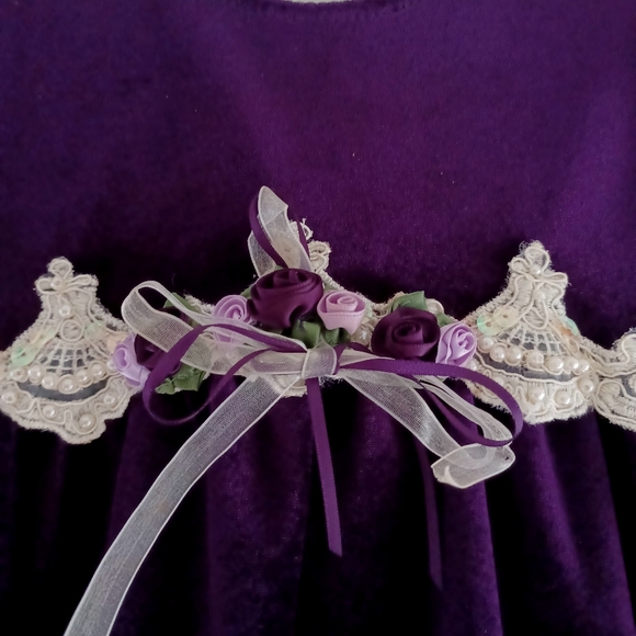 Rare Editions Vintage Velour Baby Girl Dress, size 24 months - Picture 4 of 16